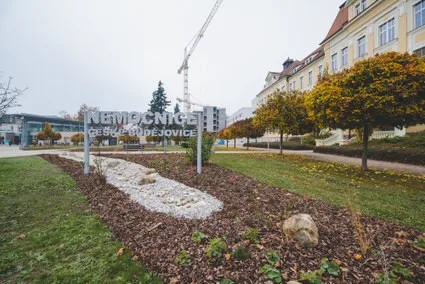 Jihočeské nemocnice omezují kvůli narůstajícím onemocněním návštěvy