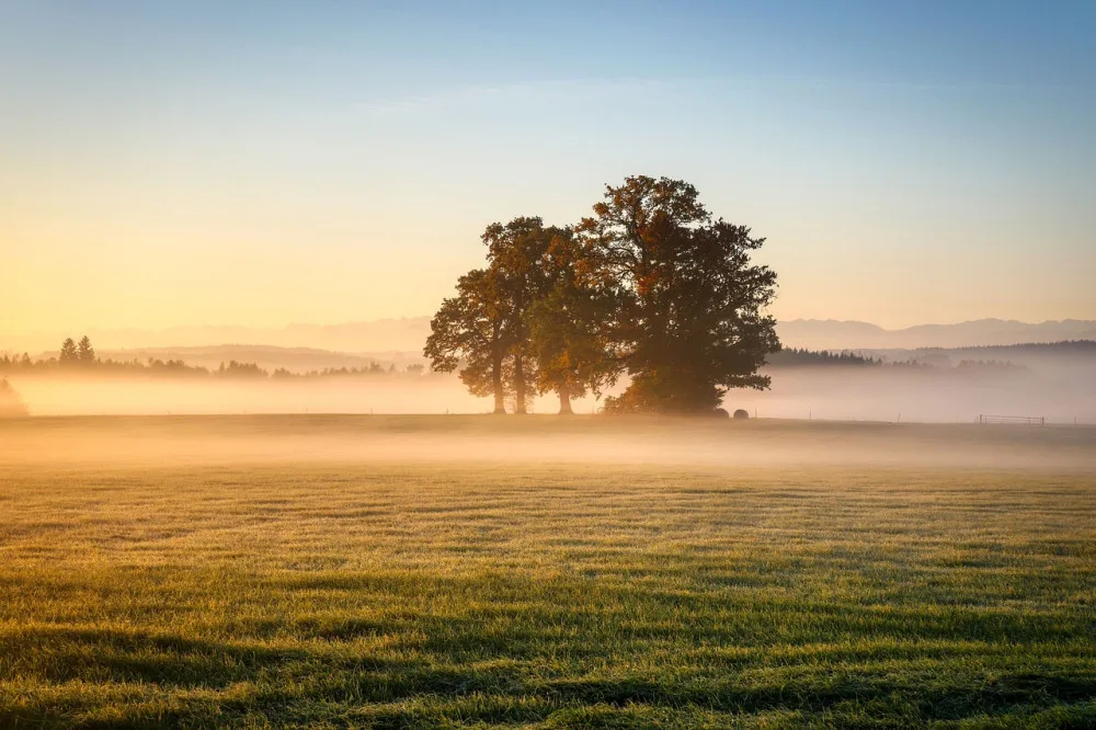 Závěr týdne bude slunečný s teplotami kolem 15°C, ráno se místy objeví mlhy