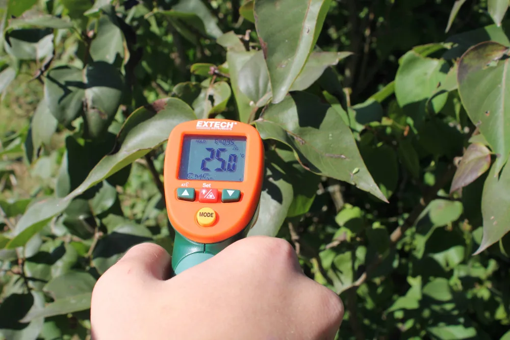 Vzdělávání o vegetaci je nástrojem v boji proti klimatické změně