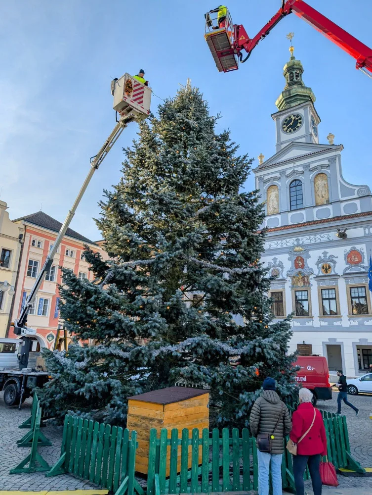 Vánoční jedle na budějovickém náměstí se rozsvítí už tuto sobotu