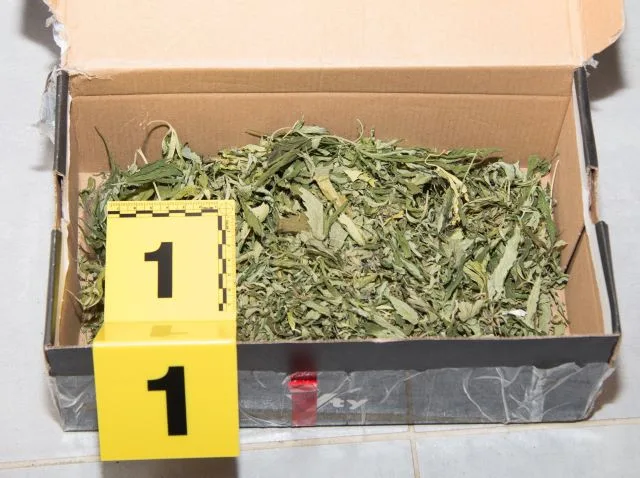 Policisté zadrželi skupinu, která na Táborsku prodávala marihuanu a pervitin