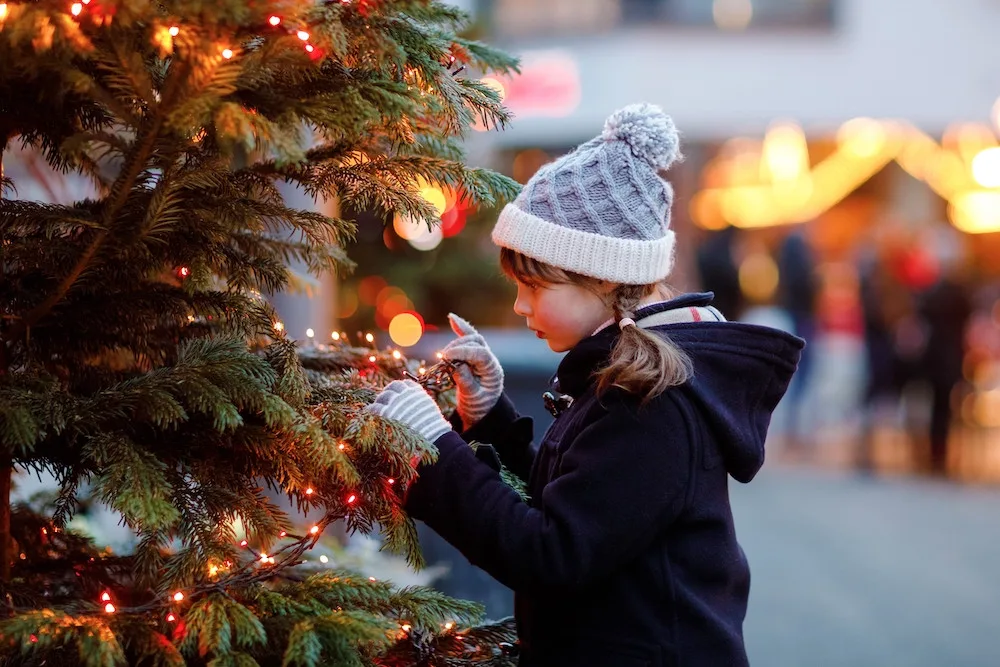 Copyright (c) 2024 Irina Wilhauk/Shutterstock. No use without permission.