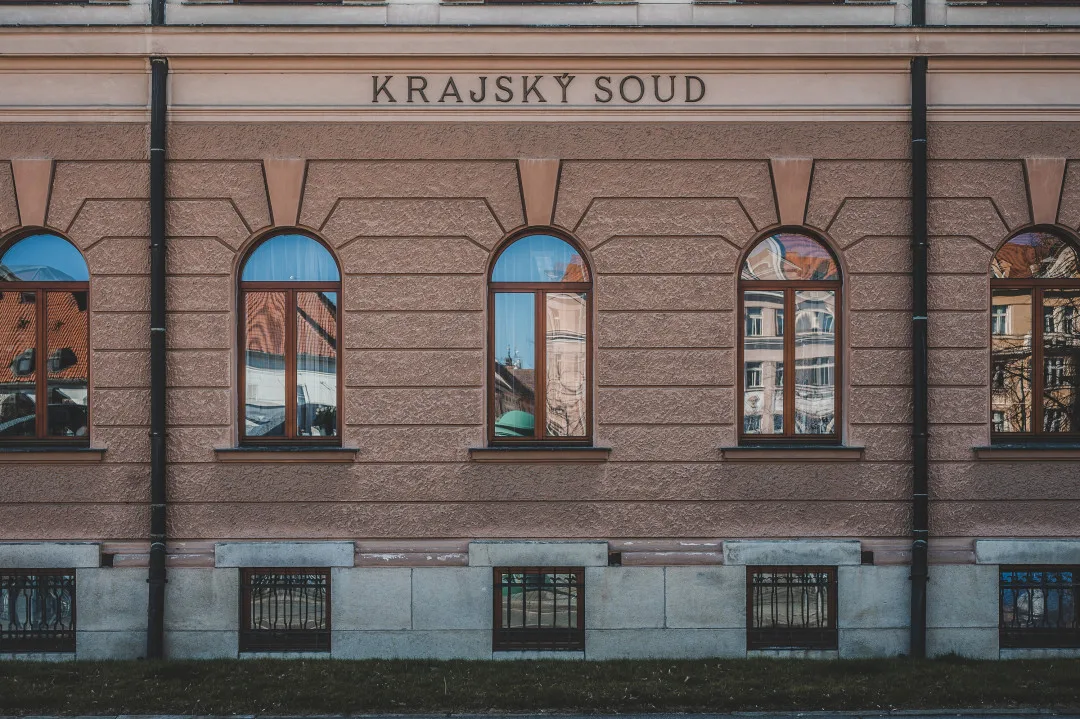 S dítětem třásla tak, až mu způsobila poškození mozku. Matku poslal soud na osm let do vězení