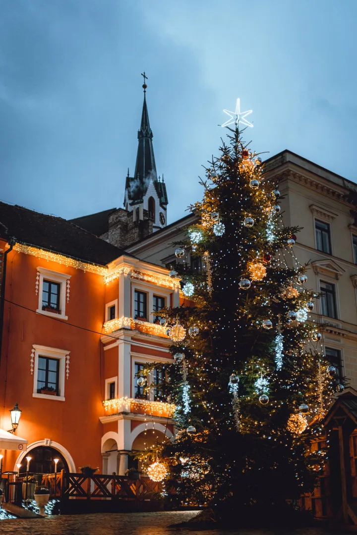 Vánoční strom na krumlovském náměstí Svornosti.
