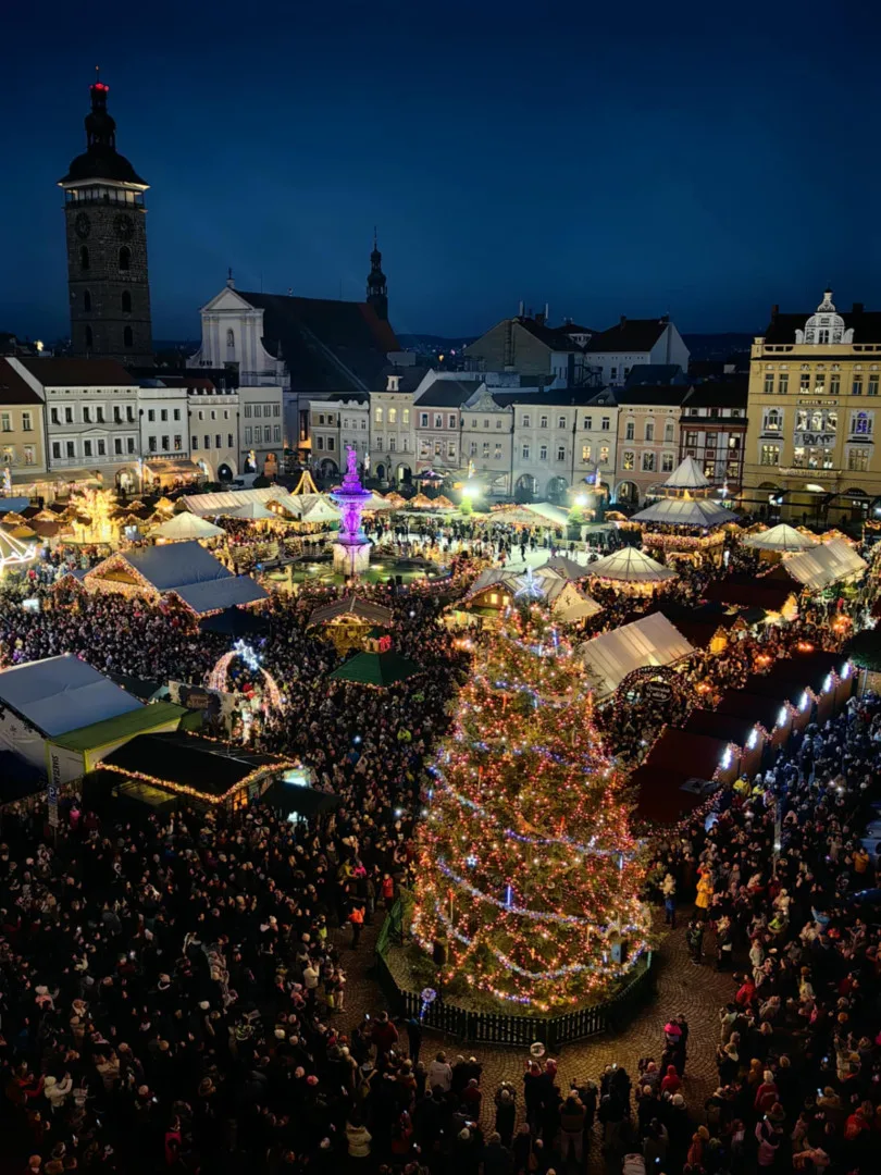 Vánoční strom na budějovickém náměstí Přemysla Otakara II.