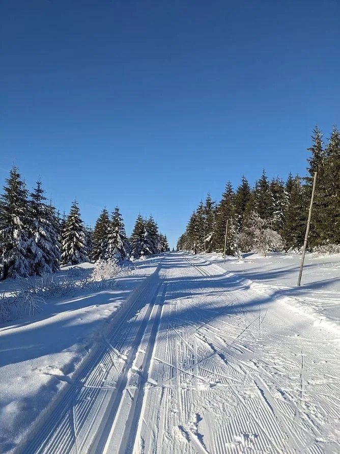 Na Šumavě klesly teploty pod minus 16 stupňů, meteorologové varují před náledím