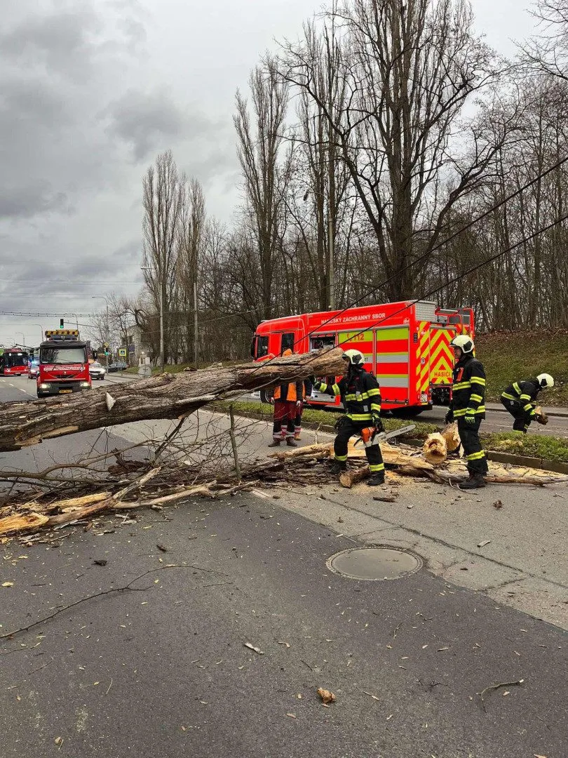 Silný vítr na jihu Čech komplikuje dopravu, hasiči odklízeli 12 popadaných stromů