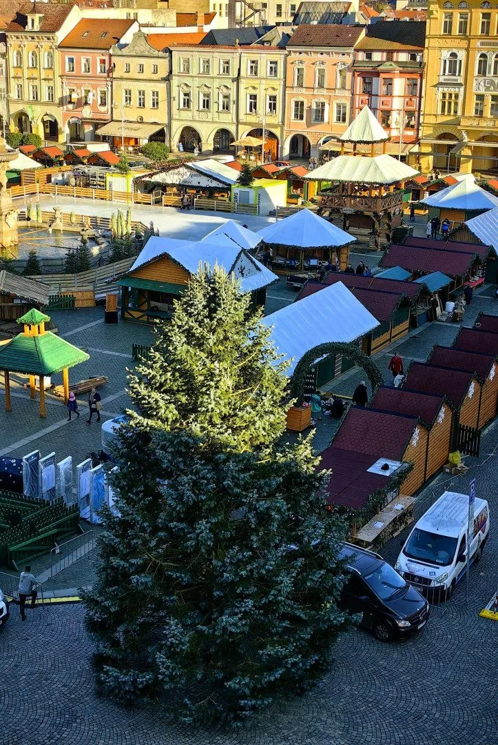 Budějovický vánoční strom dostane druhý život. Vyrobí z něj sochu do adventního městečka