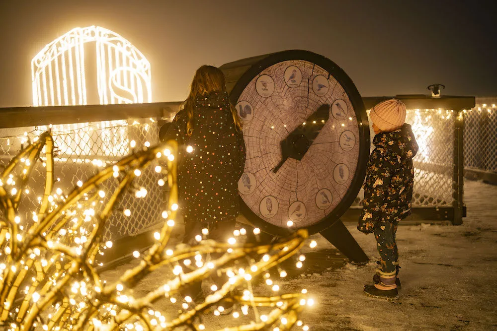 Stezka korunami stromů na Lipně zažije magické osvětlení