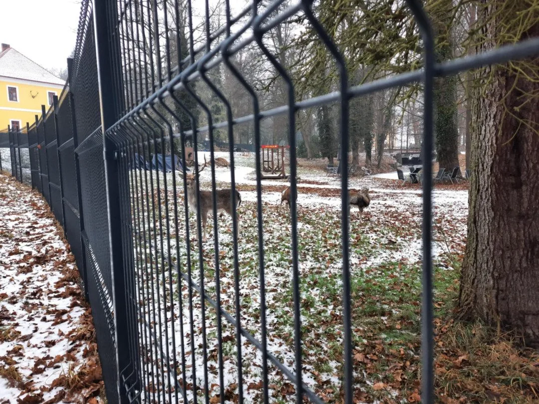 Skládka mrtvých zvířat a šikanování zaměstnanců. U zámku v Chlumu u Třeboně zasahovala policie