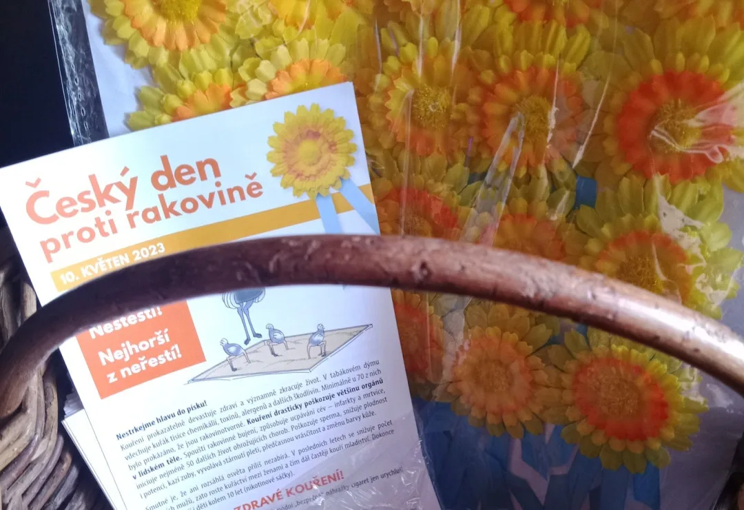 Sbírka Ligy proti rakovině vynesla 25,5 milionů korun. Letos bude 14. května