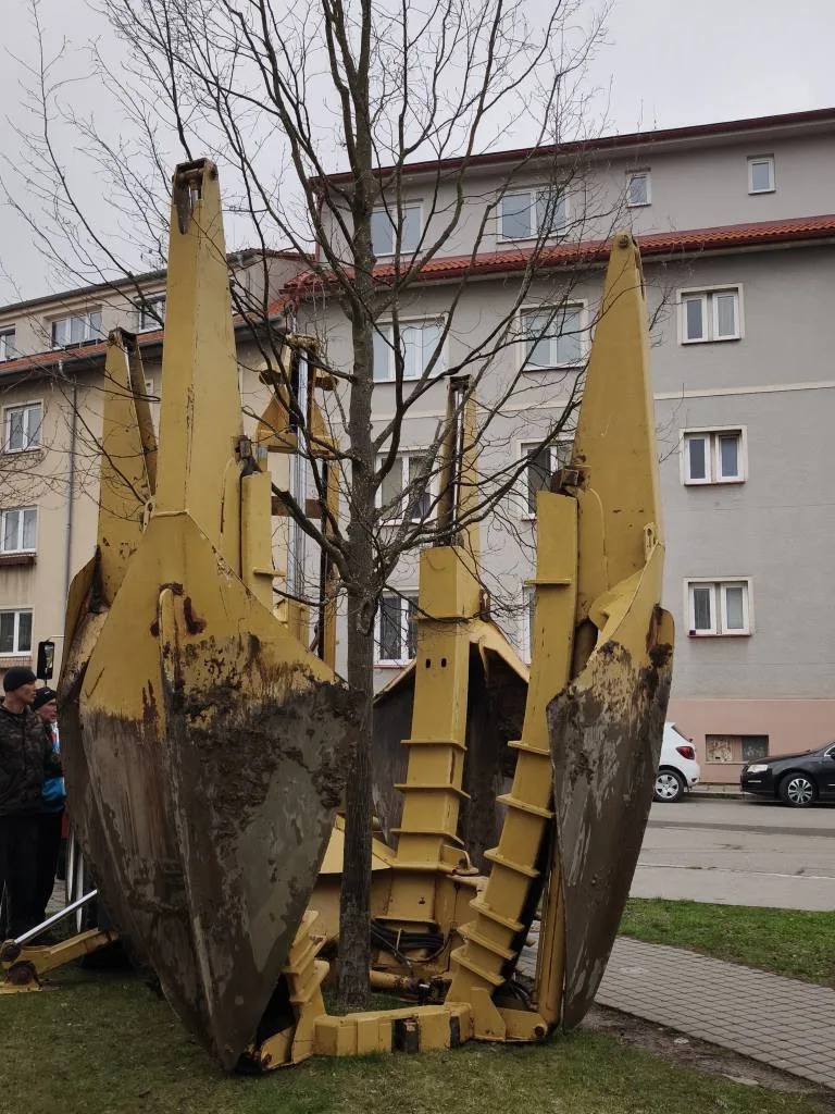 Strakonice nechaly kvůli úpravě vozovky přesadit čtyři pětadvacetileté habry