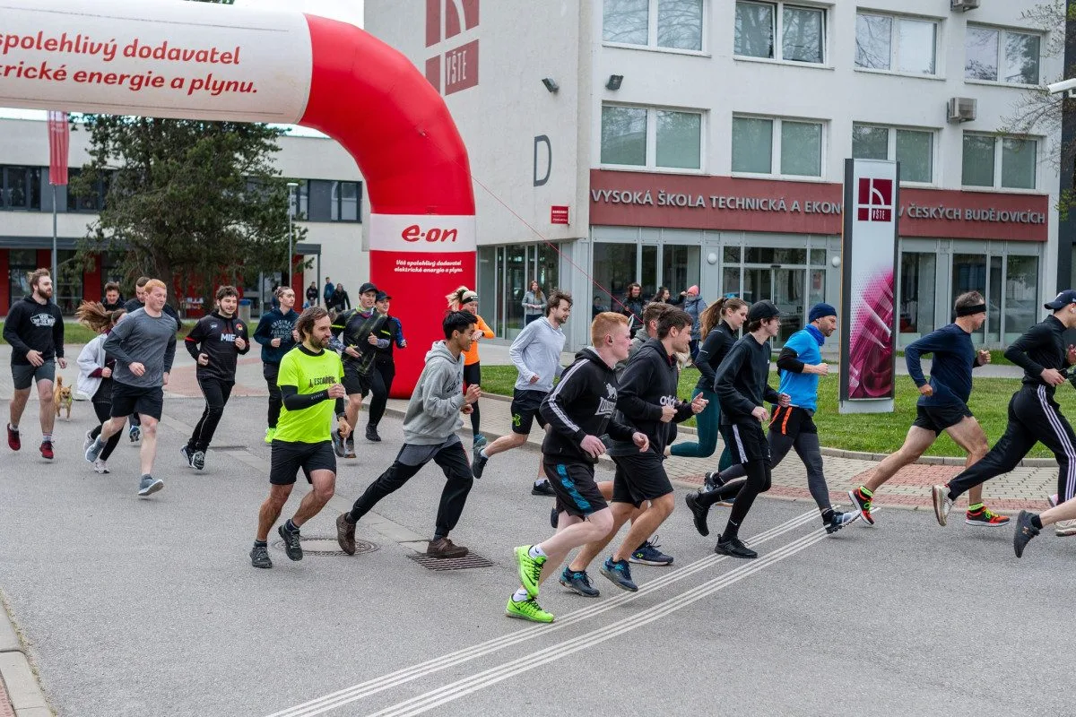 Společně pro dobrou věc: Nadační běh VŠTE podpoří opuštěné psy z útulku Pes pro život