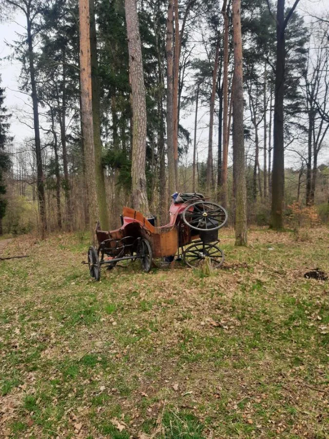 U Třebotovic havaroval koňský povoz, zranili se čtyři lidé. Koně z nehody vyvázli bez újmy