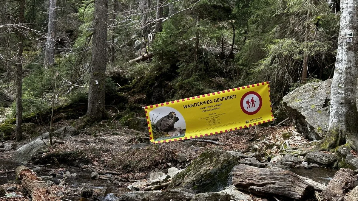 Takto je označena uzavřená cesta vedoucí na příhraniční horu Falkenstein