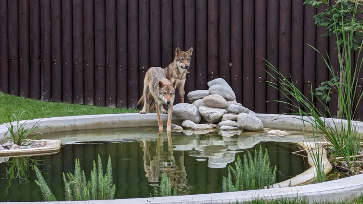 Záchranným centrem v táborské zoo za necelý rok provozu prošlo devět zvířat