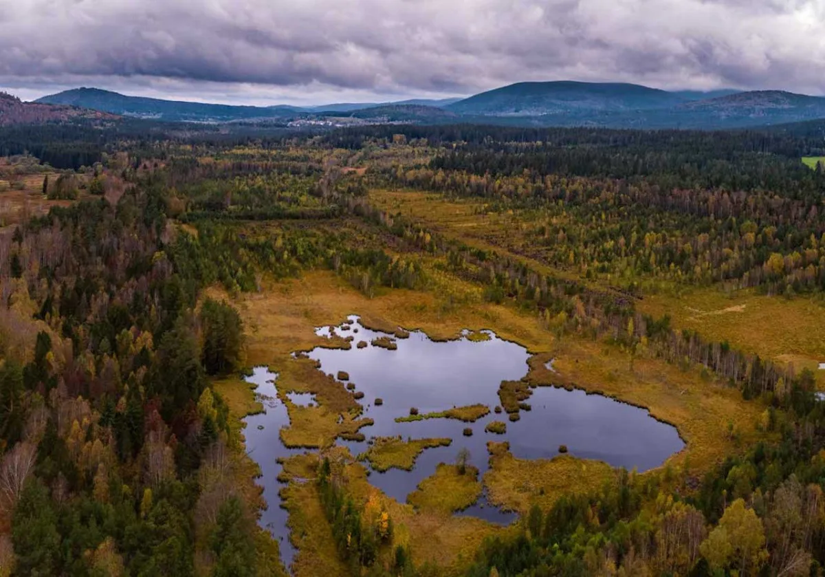 Šumava vysychá. Půda praská a Teplá Vltava zůstává bez lodí