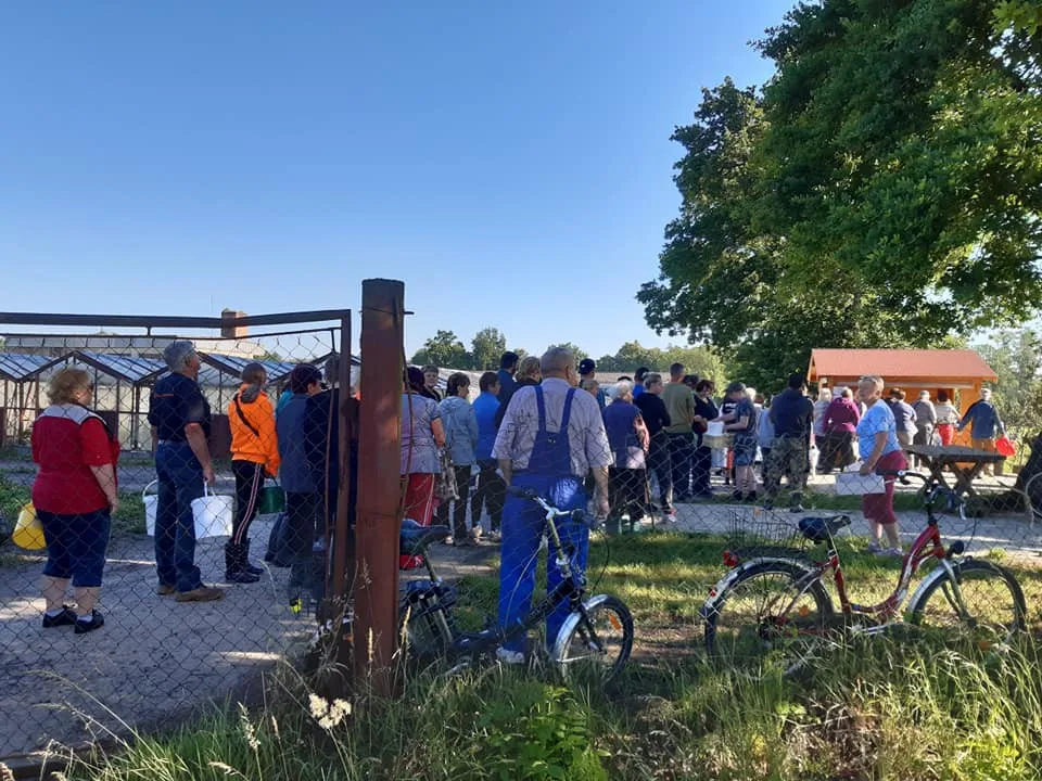 Startuje populární samosběr jahod ve Vodňanech. Přijďte si natrhat čerstvé a chutné plody