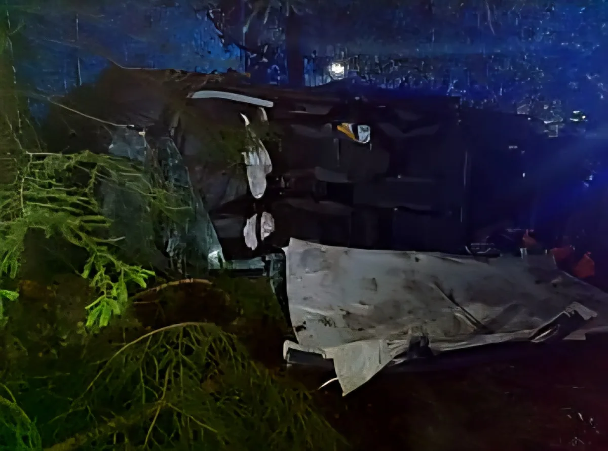 Auto vylétlo ze silnice a skončilo v bažině. Vyprošťování komplikoval přelomený strom