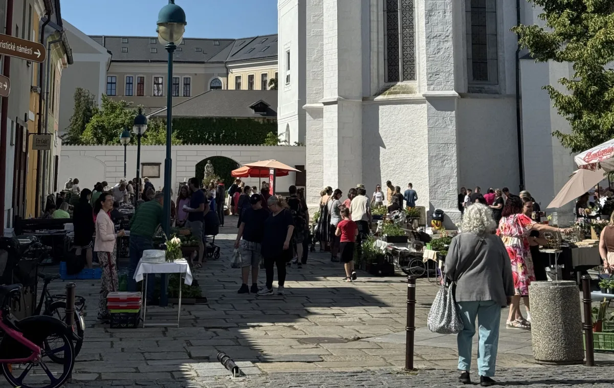 V Budějcích žije necelých 100 tisíc obyvatel. Jsou sedmým nejlidnatějším městem v Česku