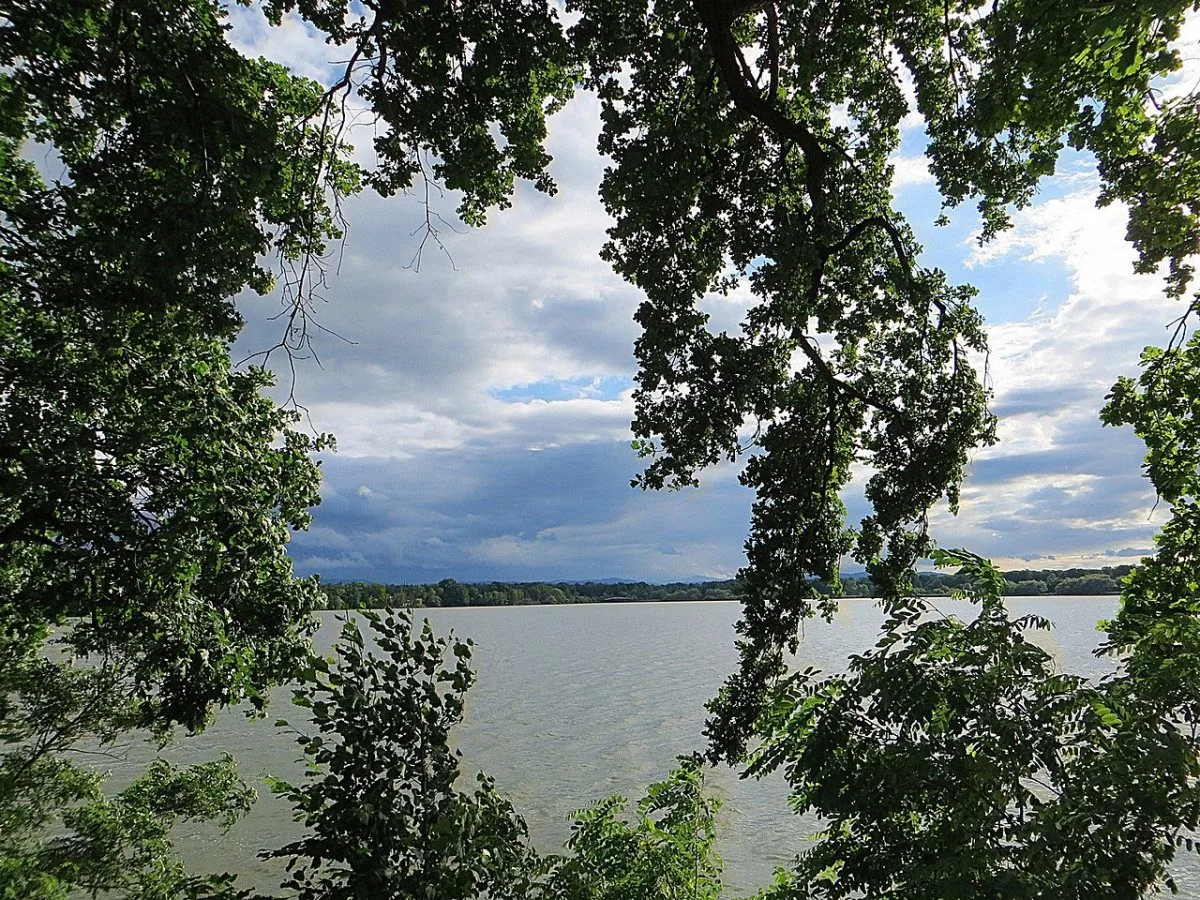 V Hluboké nad Vltavou uhynulo po čtvrteční bouřce v Munickém rybníku asi 300 ryb