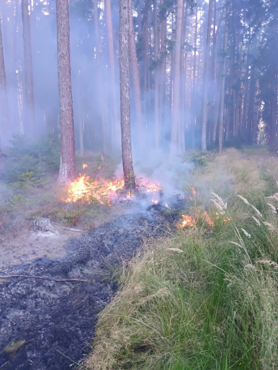 U Sepekova shořelo půl hektaru lesa