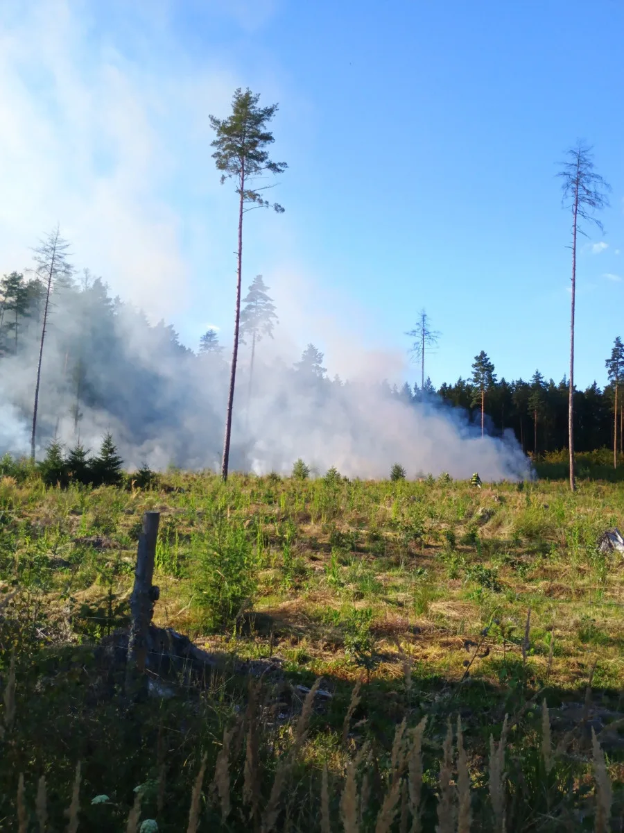 U Sepekova shořelo půl hektaru lesa