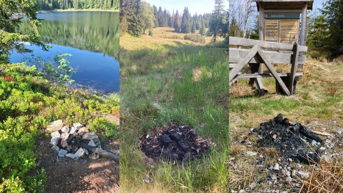 Lidé rozdělávají desítky nelegálních ohnišť v NP Šumava. Riskují obří požáry