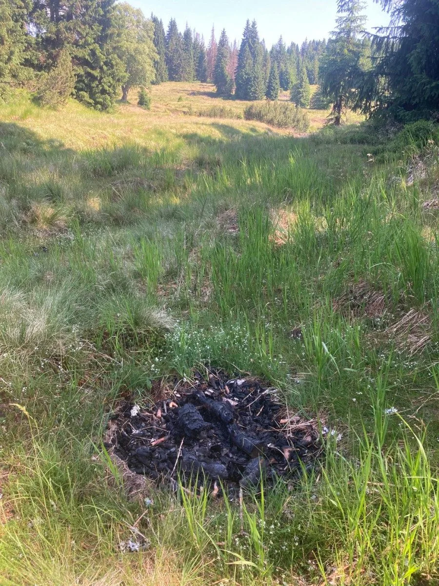 Lidé rozdělávají desítky nelegálních ohnišť v NP Šumava. Riskují obří požáry