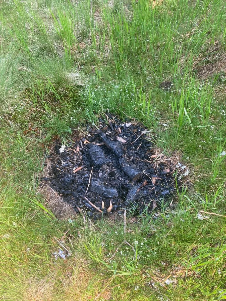 Lidé rozdělávají desítky nelegálních ohnišť v NP Šumava. Riskují obří požáry