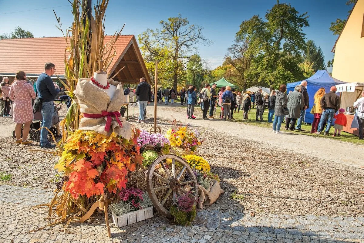 Borovanské hody nabídnou program pro celou rodinu i podzimní dobroty