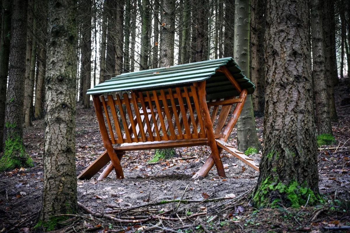Skřítek Pimon provází děti v Píseckých horách. Na nové stezce potkají vydru i divoké prase