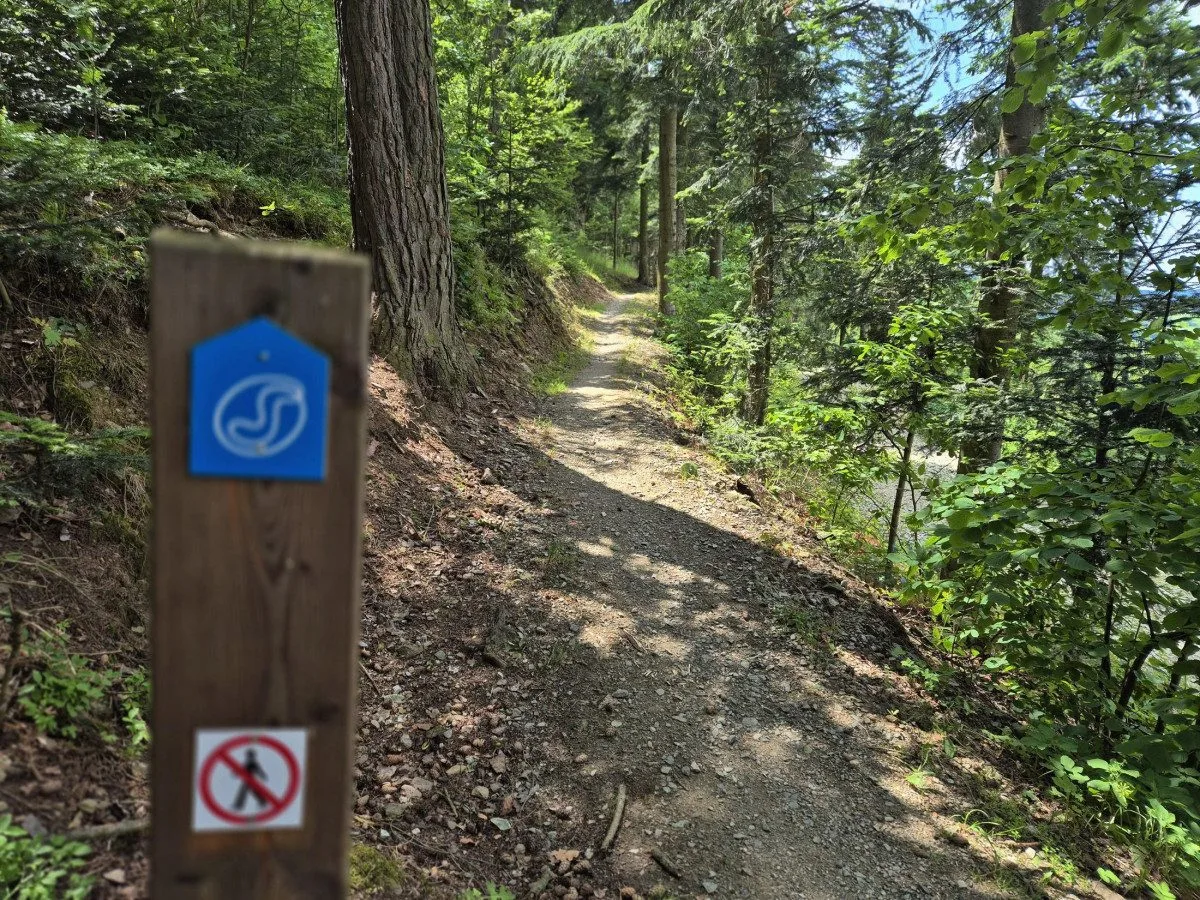 Prachatice rozjíždějí druhou etapu trailů na Libíně. Nové trasy přilákají cyklisty už koncem léta