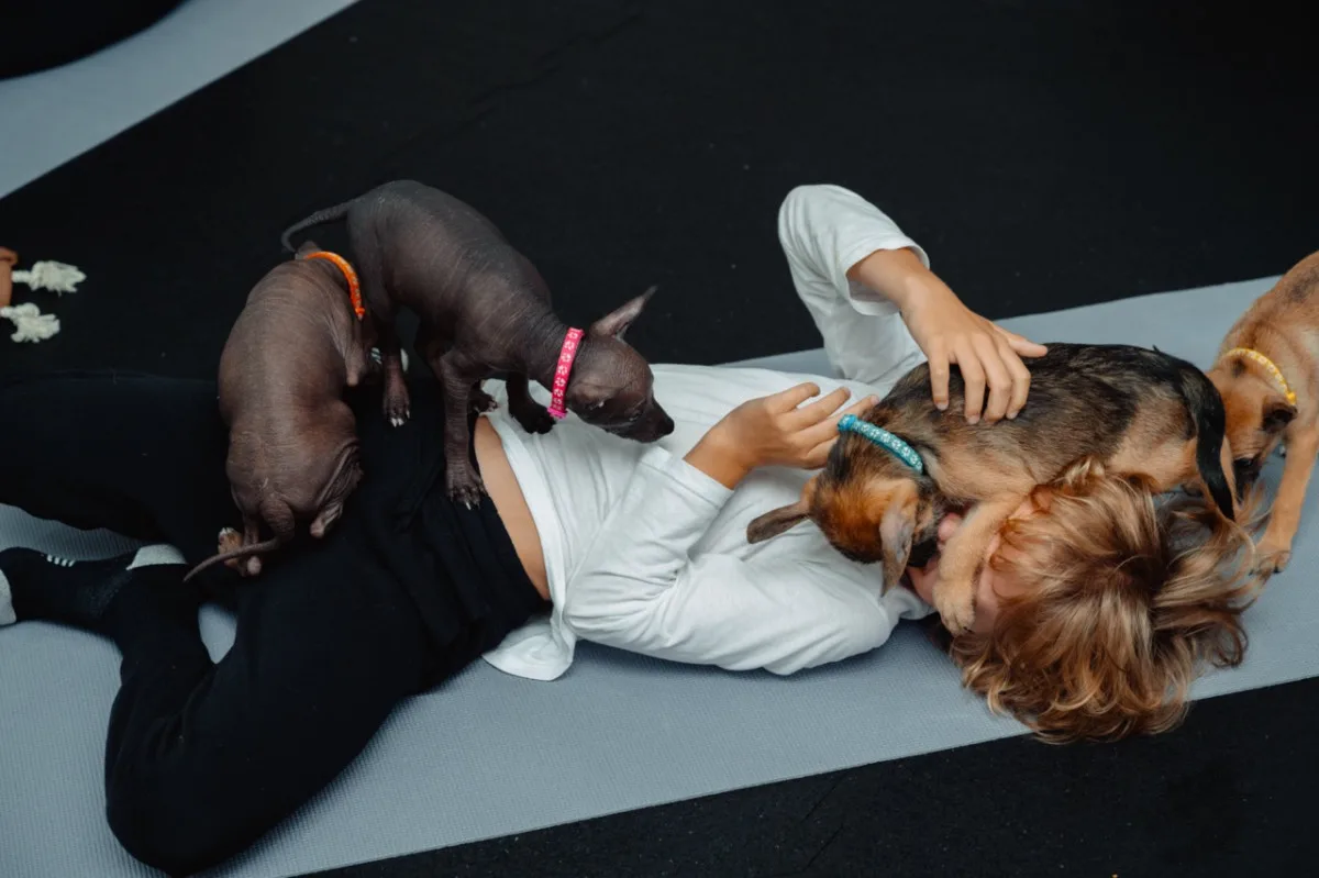 Puppy jóga spojuje relaxaci lidí se zdravou socializací štěňat
