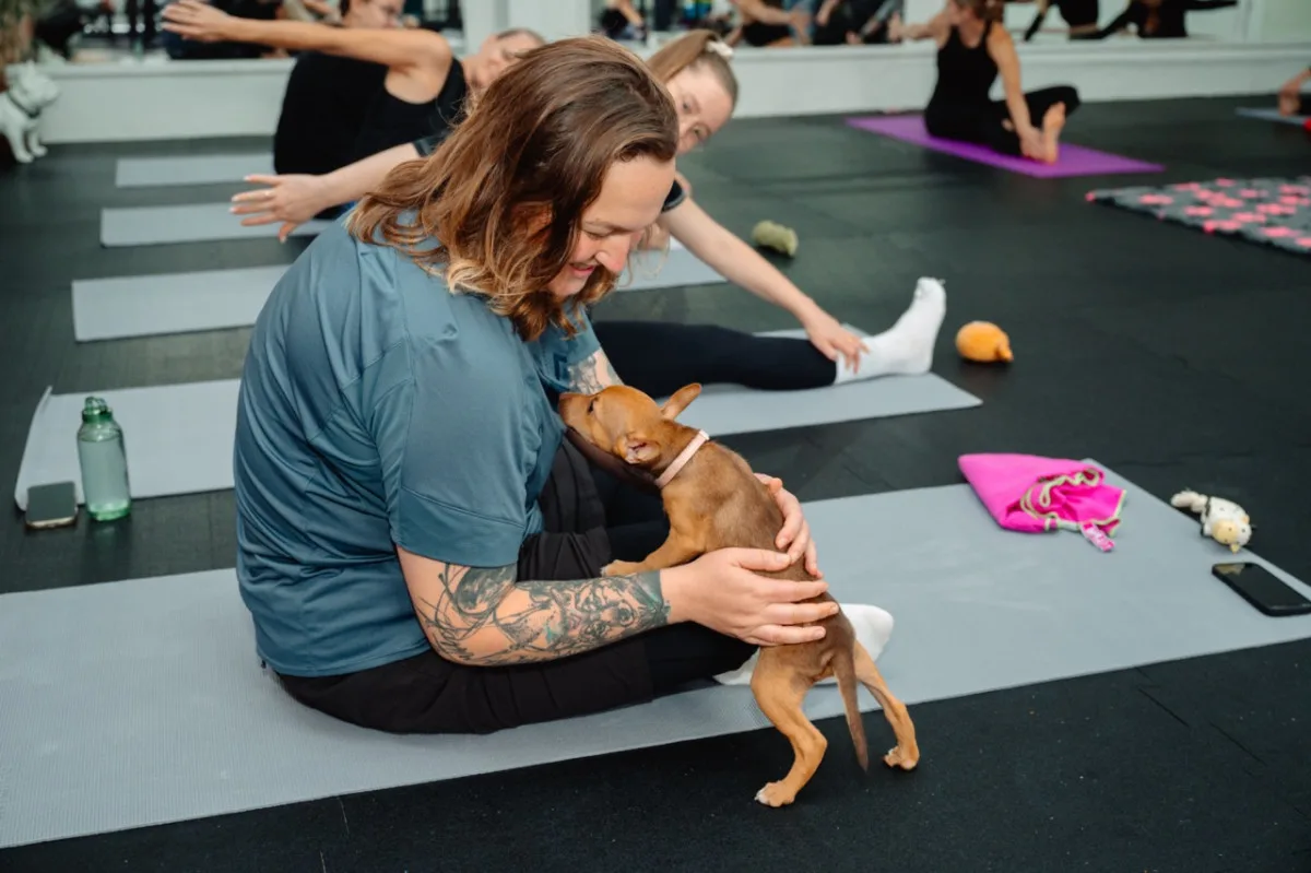 Puppy jóga spojuje relaxaci lidí se zdravou socializací štěňat