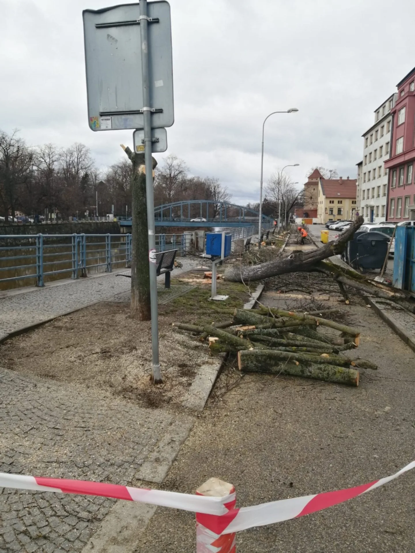 Stromy u Malše padly. Ustupují nové náplavce