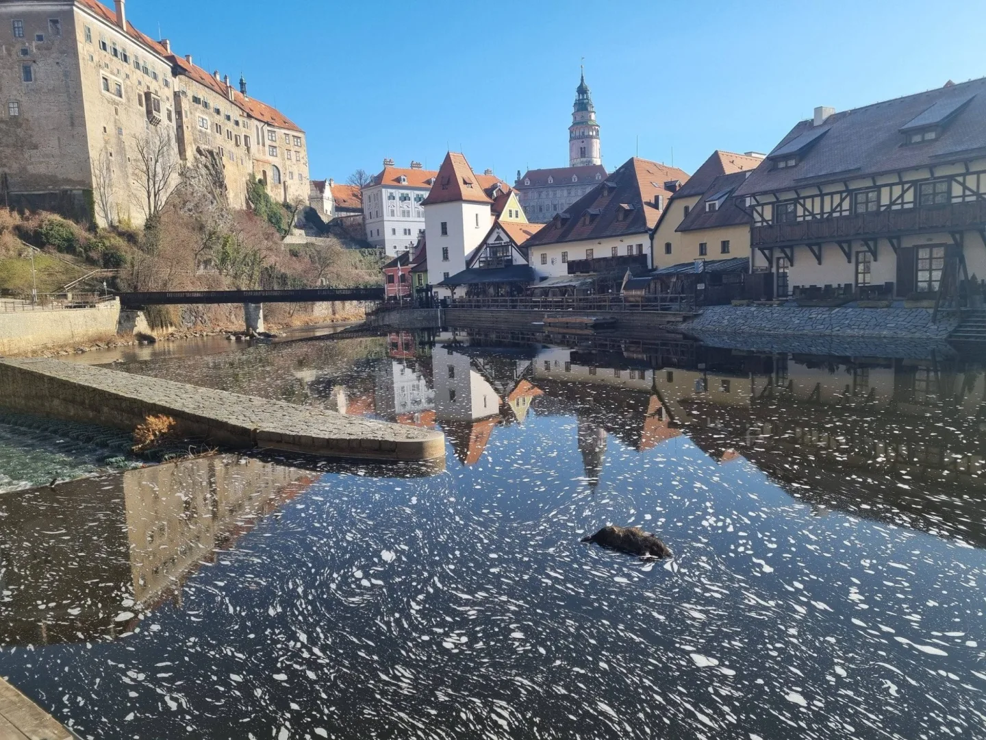 Začala v Krumlově vodácká sezona? Vltavou pod zámkem plul mrtvý divočák