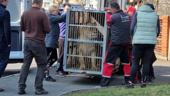 Hlasitý řev šelem upozornil na nelegální chov v rodinném domě