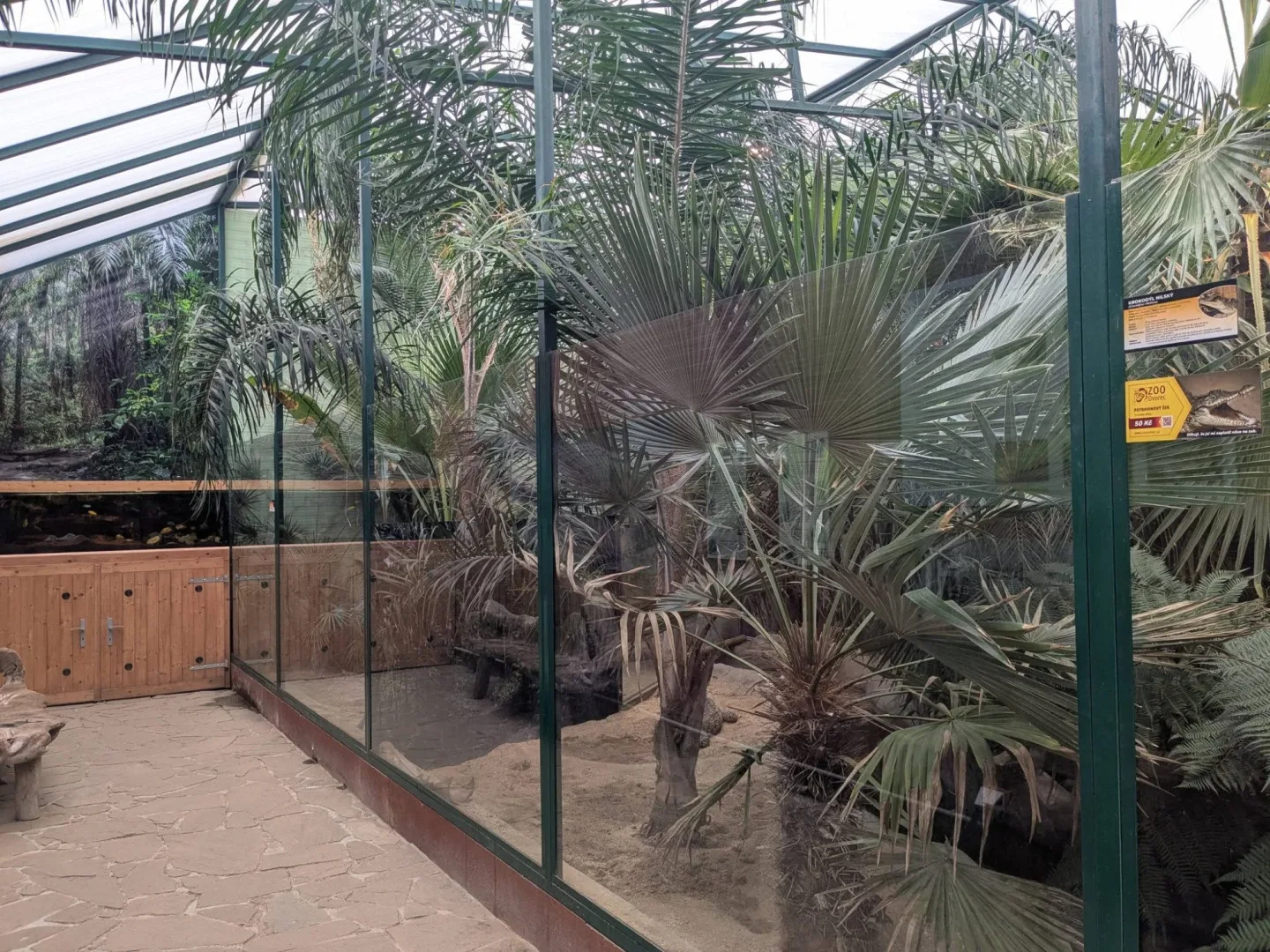 V Zoo Dvorec přibyl téměř čtyřmetrový krokodýl. Samice dorazila od Karlose Vémoly