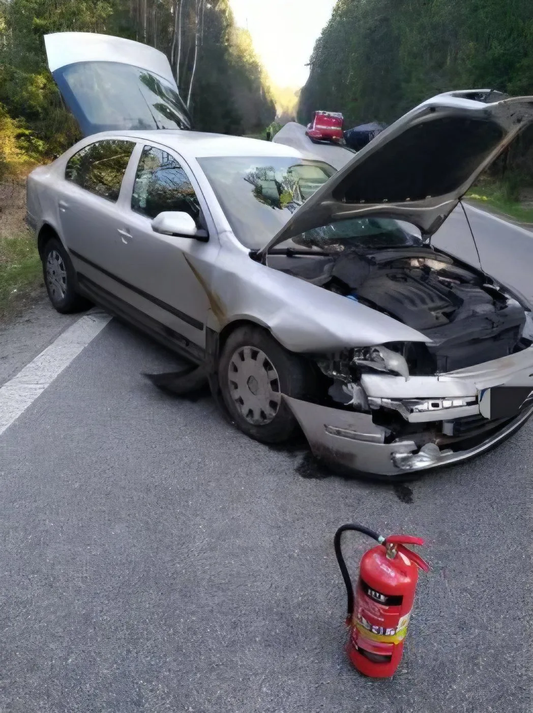 Divočák způsobil nehodu u Volar. Kamion skončil v příkopu, silnice je uzavřená