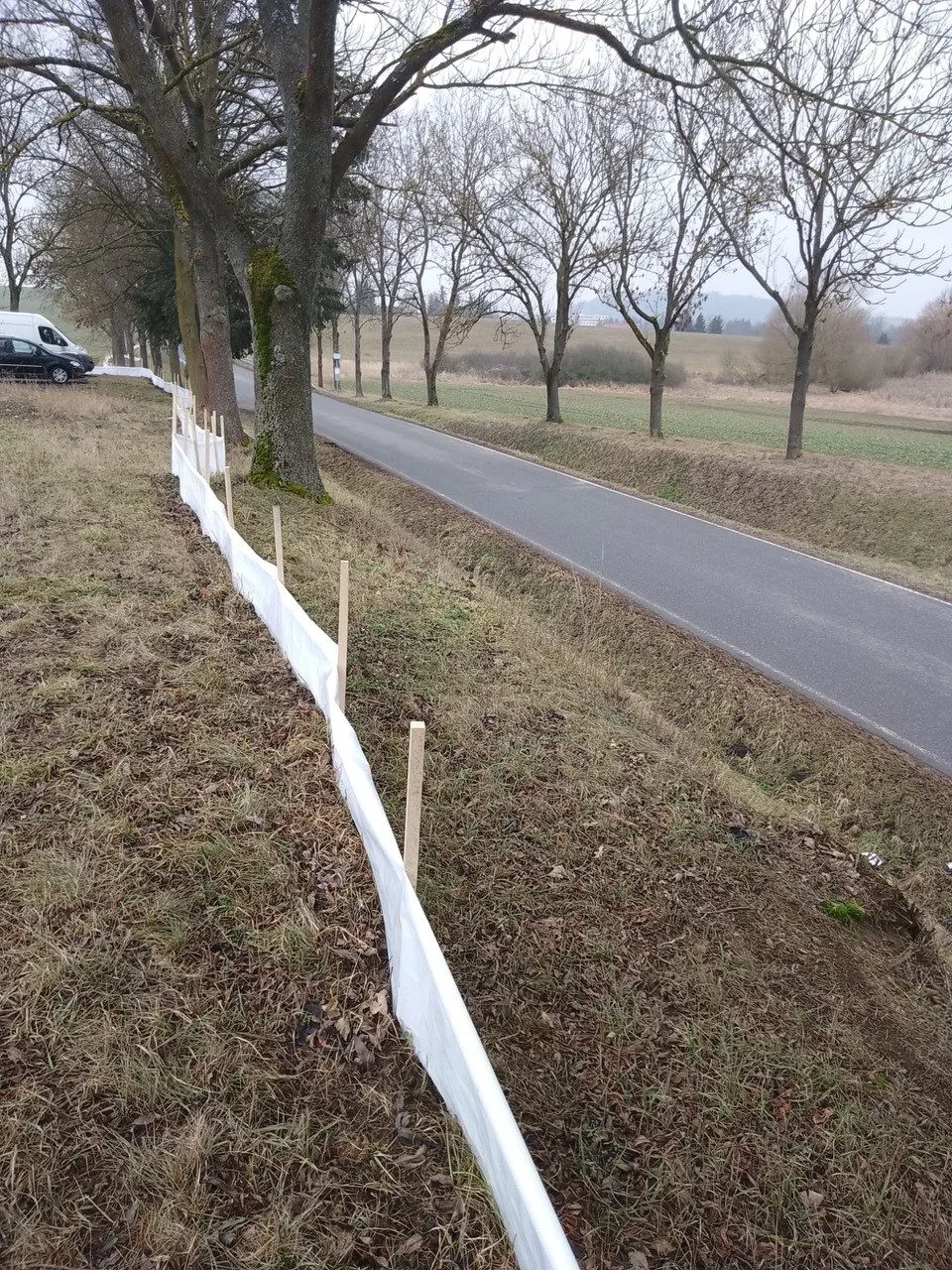 Díky migračním bariérám se v Písku podařilo zachránit tisíce obojživelníků.