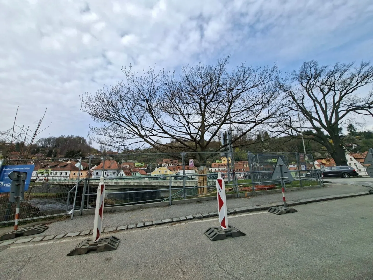 Vzrostlý dub na Plešivci se nepodařilo uchránit, ustoupil výstavbě mostu