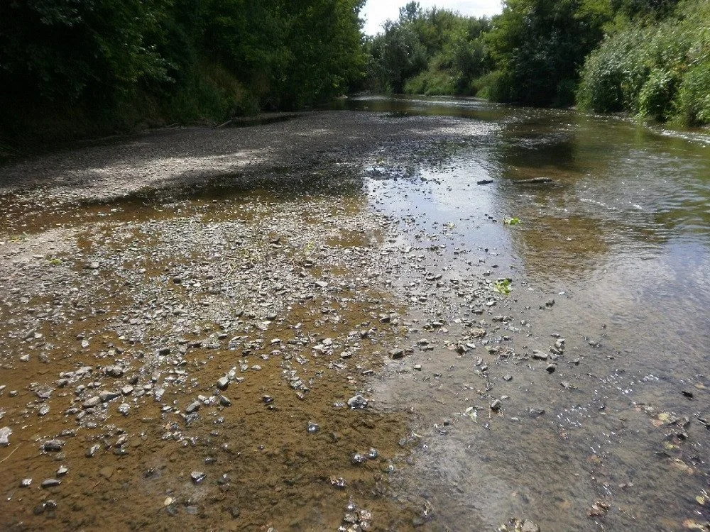 Na řadě jihočeských řek je sucho, situace je podle hydrologů nejhorší v ČR