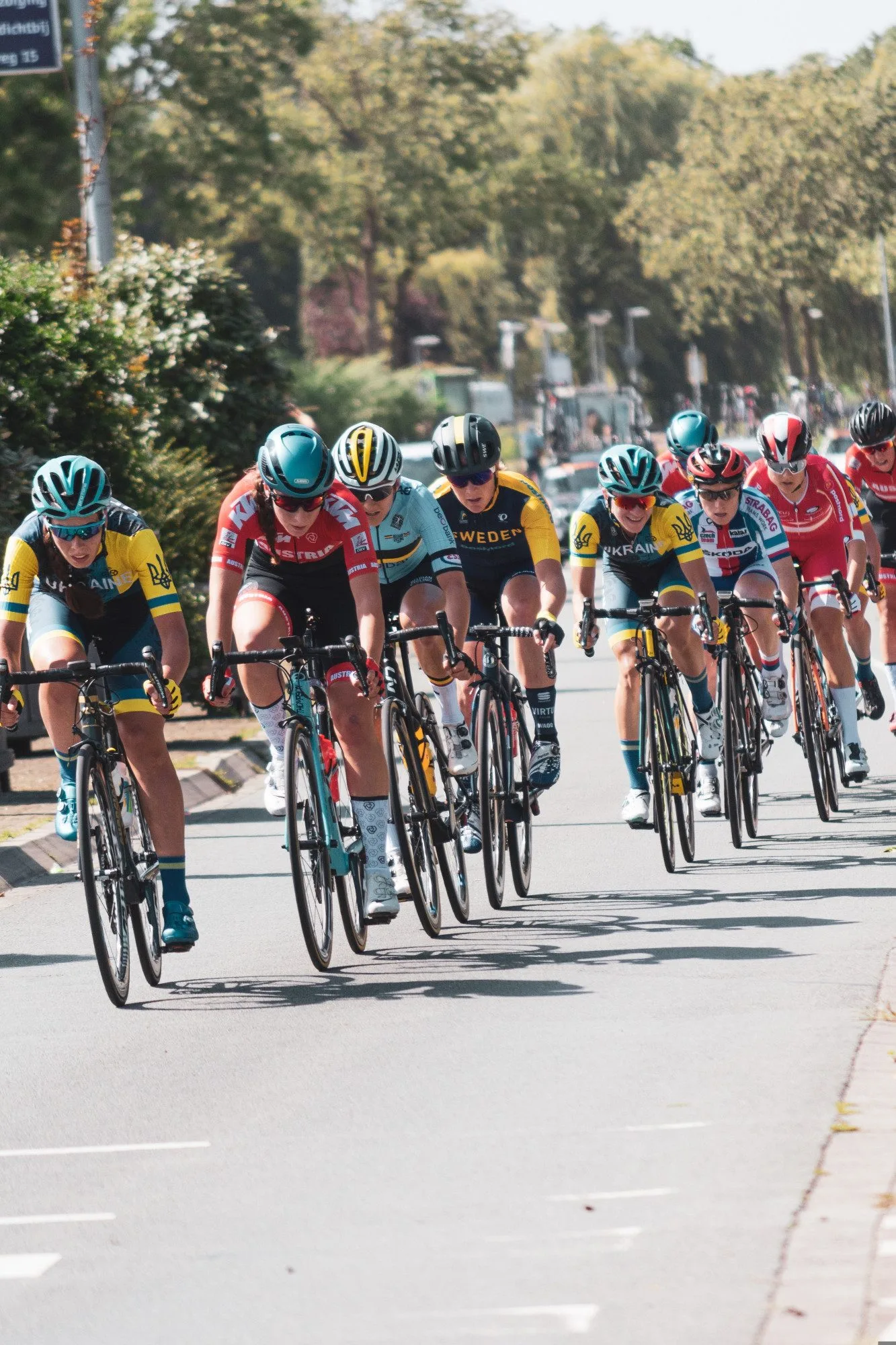 Prachatice získaly jako první město v ČR titul od cyklistické Tour de France