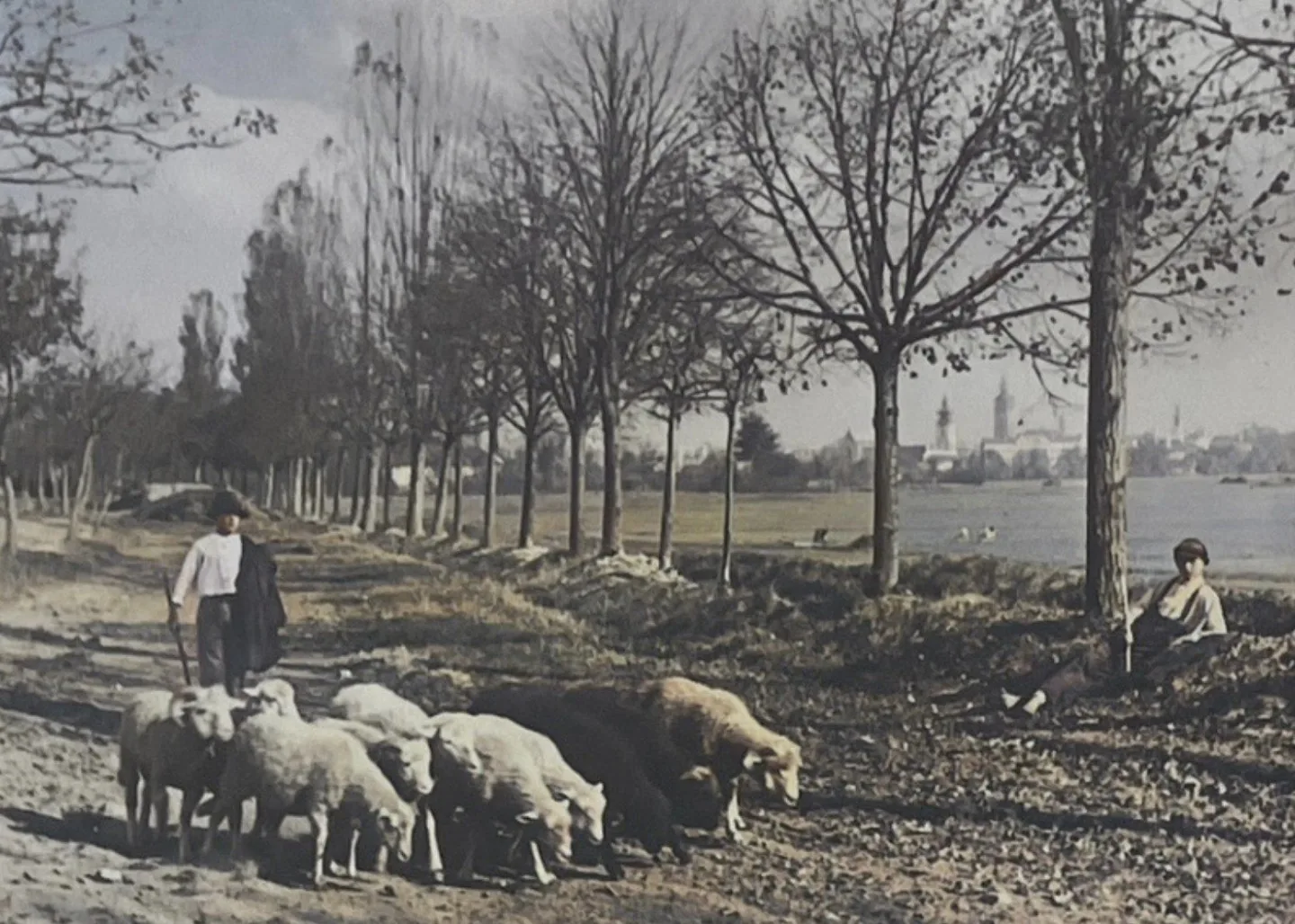 Málokdo ví, že Dlouhá louka původně označovala rozlehlou plochu, na níž se ještě v polovině 20. století pásl dobytek a zemědělsky se hospodařilo.