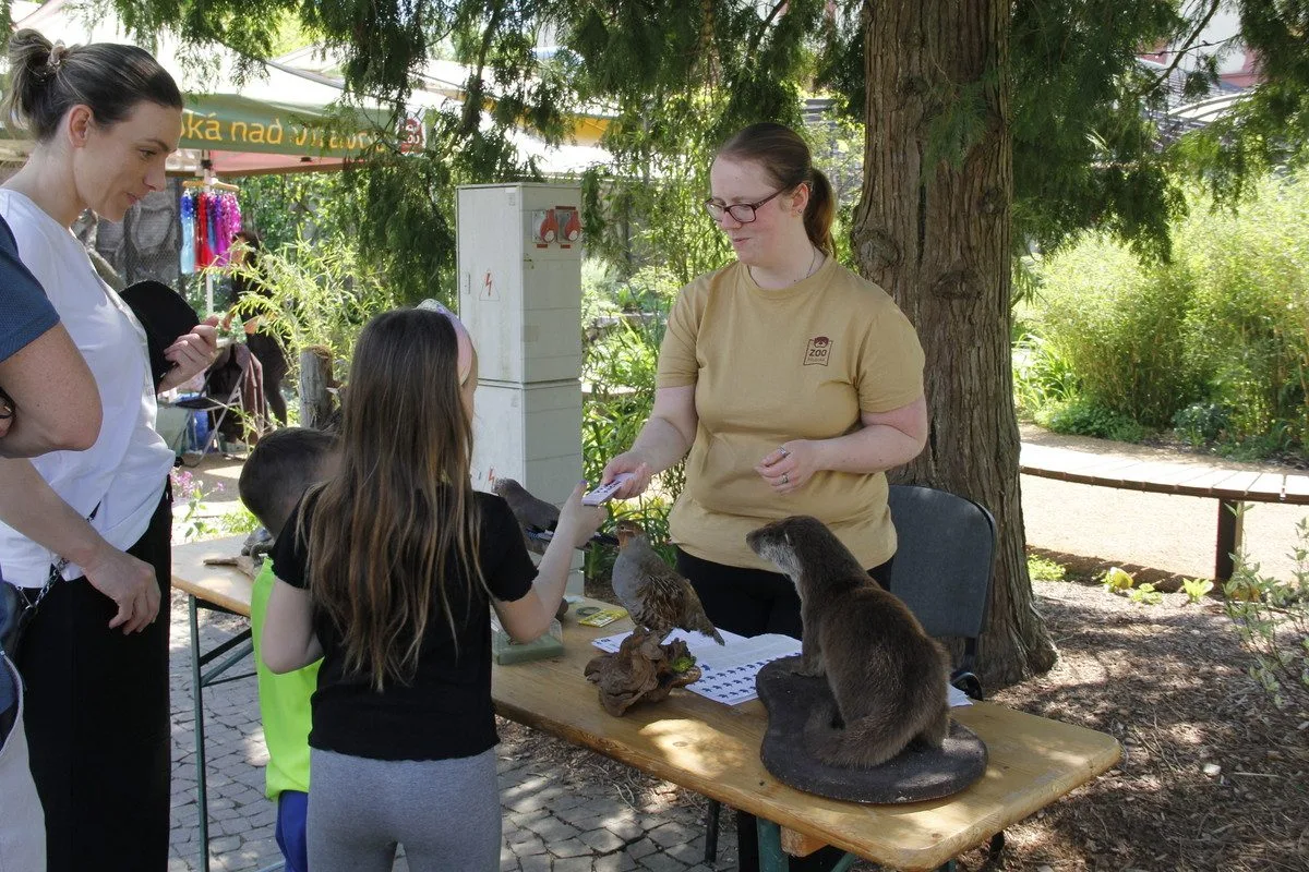 Konec syslů v Čechách? Unikátní akce v Zoo Hluboká představí ohrožené druhy.