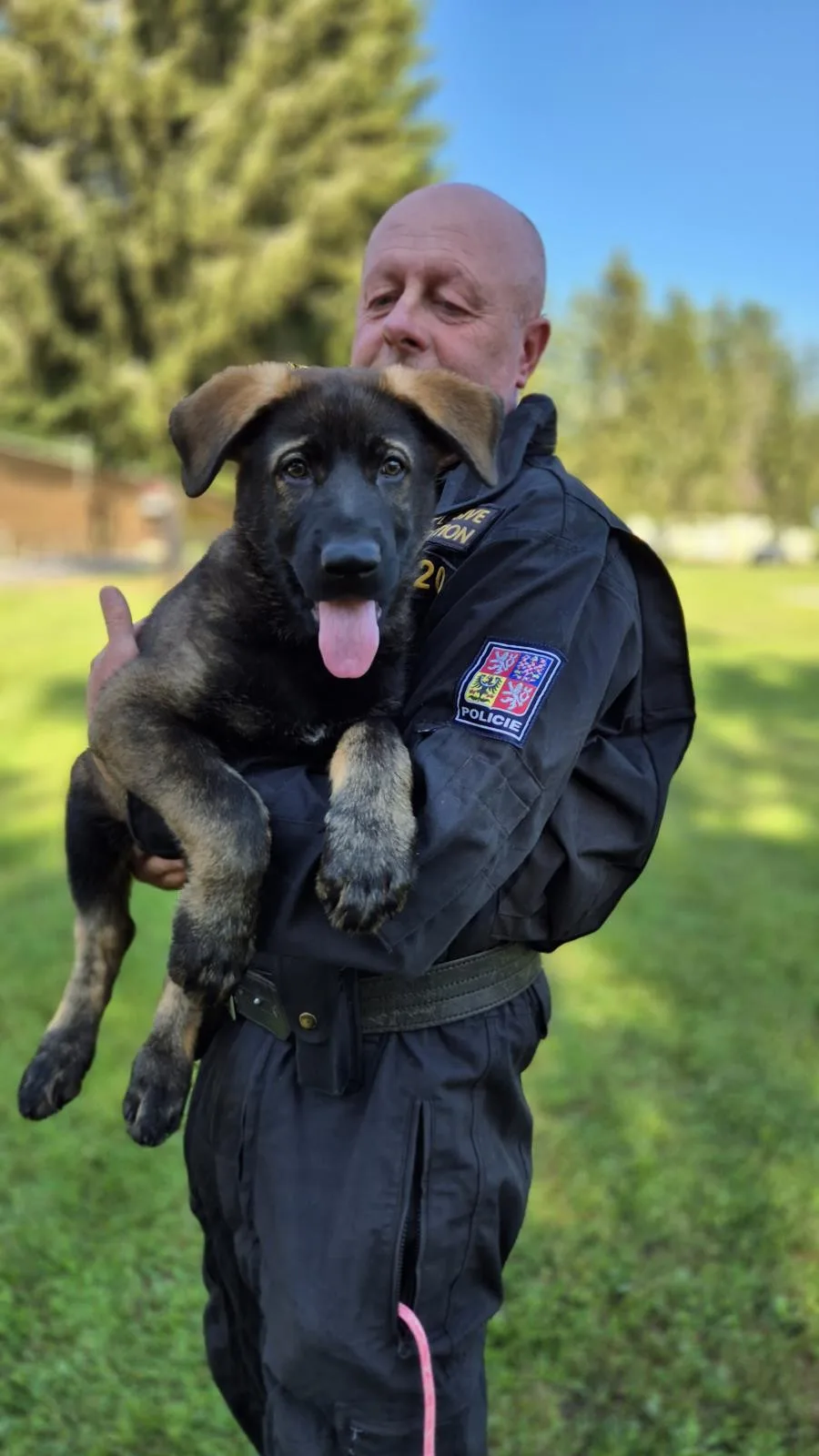 Roztomilá policejní posila. Štěňata Árčí a Casper se připravují na důležitou službu