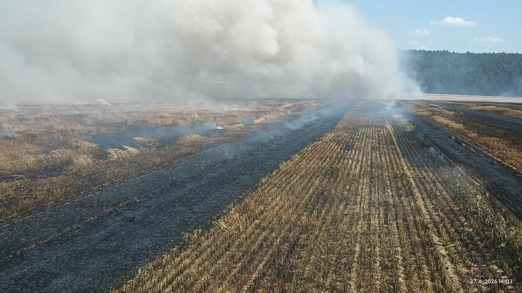 Požár pole na Strakonicku zaměstnal několik jednotek hasičů.