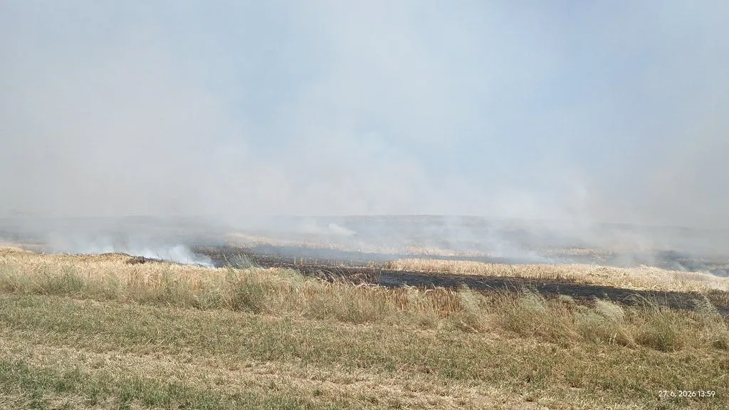 Požár pole na Strakonicku zaměstnal několik jednotek hasičů