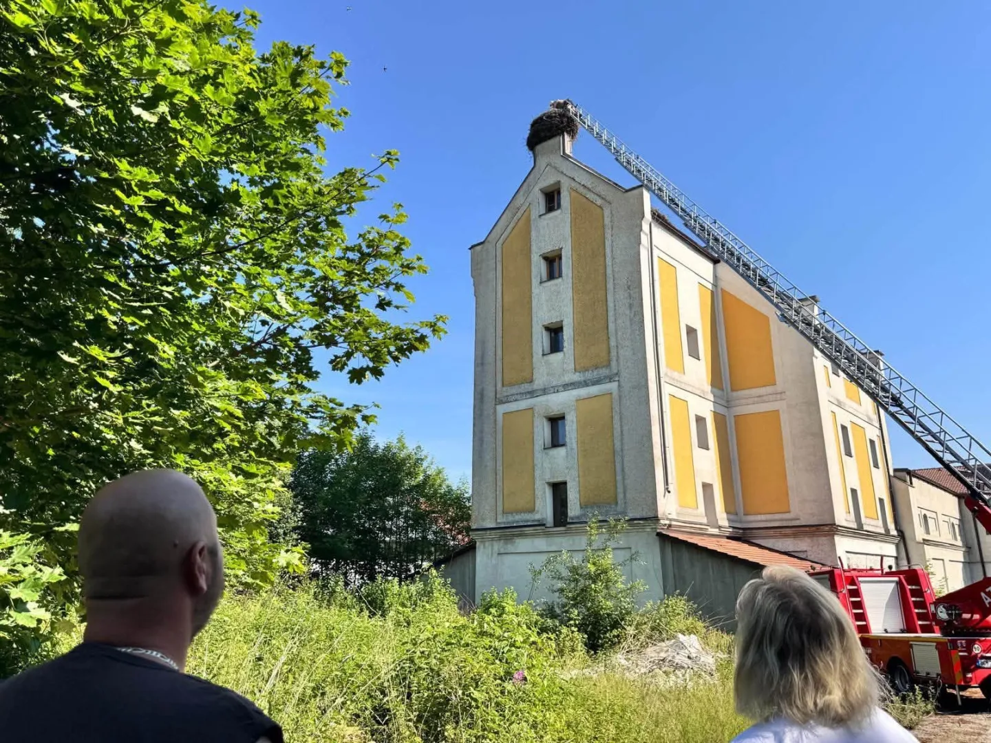 V tropickém vedru okroužkovali čapí mláďata. Pro Černou v Pošumaví šlo o premiéru
